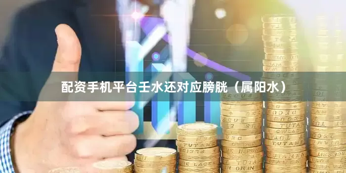 配资手机平台壬水还对应膀胱（属阳水）