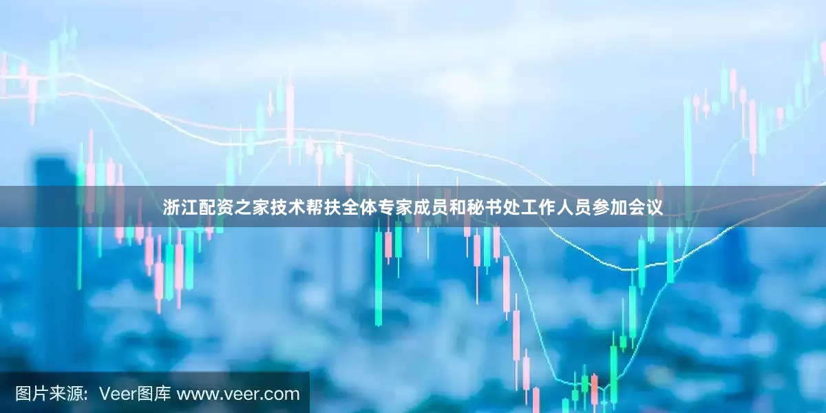浙江配资之家技术帮扶全体专家成员和秘书处工作人员参加会议