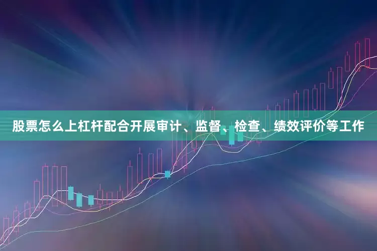 股票怎么上杠杆配合开展审计、监督、检查、绩效评价等工作