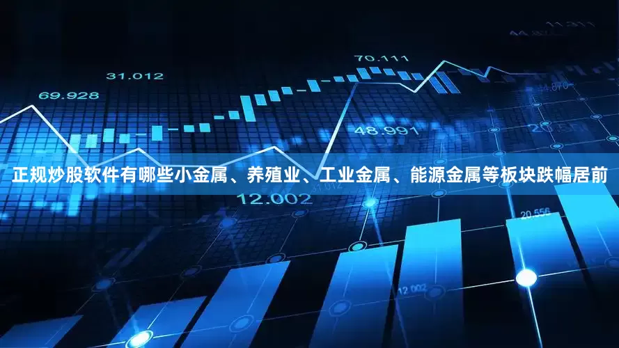 正规炒股软件有哪些小金属、养殖业、工业金属、能源金属等板块跌幅居前